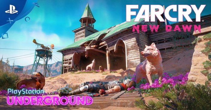 Far Cry New Dawn