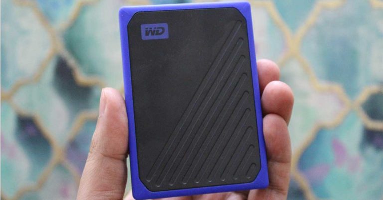 wd my passport go