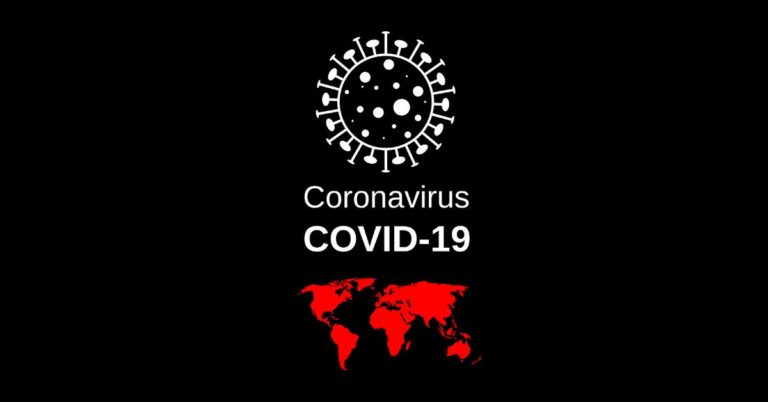 WHO launched a dedicated bot for WhatsApp to put a stop to fake coronavirus news and rumours: How to get access to WHO bot
