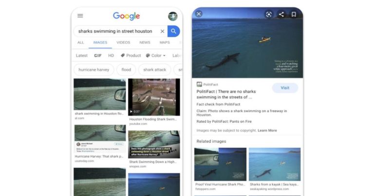 Google Images fact check
