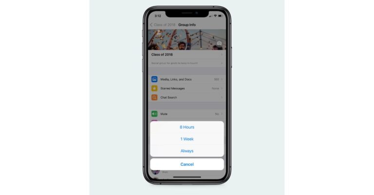 ‘Always Mute’ option in Chat settings is now rolling out for WhatsApp users, here is how you can enable it on your iOS and Android devices