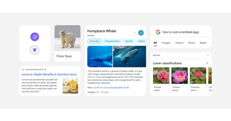Google search mobile to get a major visual redesign, focusing on important information and bringing rounded aesthetic