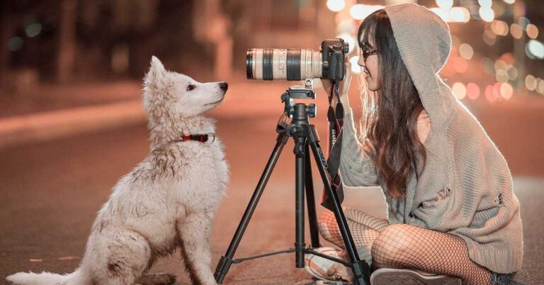 Top 5 professional tripods you can buy under Rs 3,000
