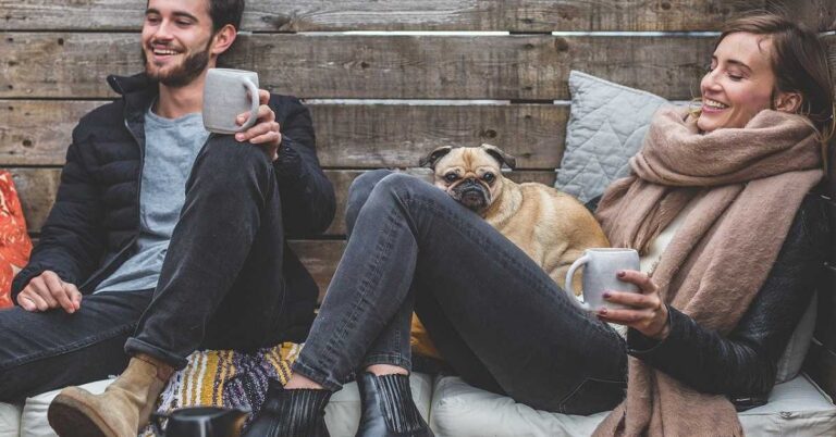 Top 5 must-install Android apps for pet owners
