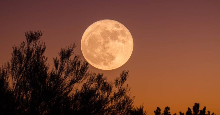 Supermoon tonight: How to click best pictures of the Super Moon/Pink Moon using your smartphone camera?