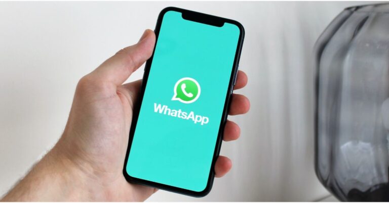 WhatsApp's new update: Large Media previews in chats enabled in WhatsApp