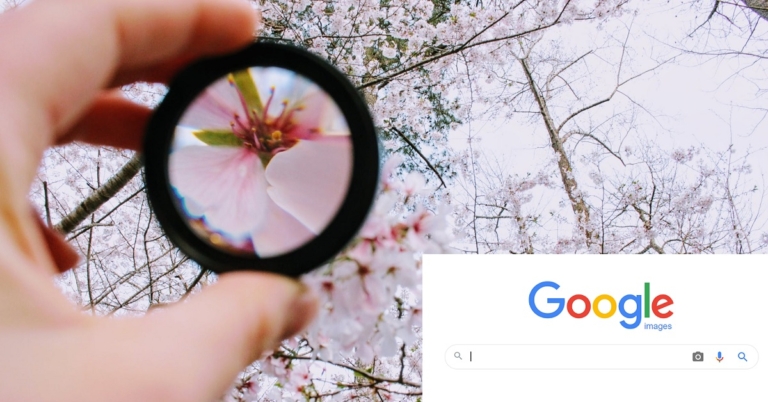 How To Google Reverse Image Search On Mobile? Everything You Need To Know