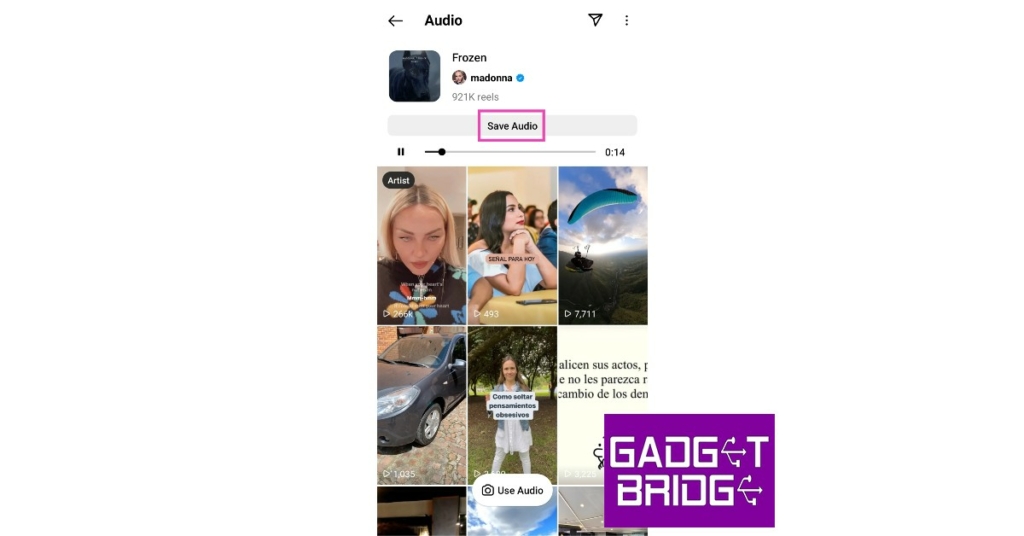 Save and Download Instagram Reels Audio as MP3? 5 best ways