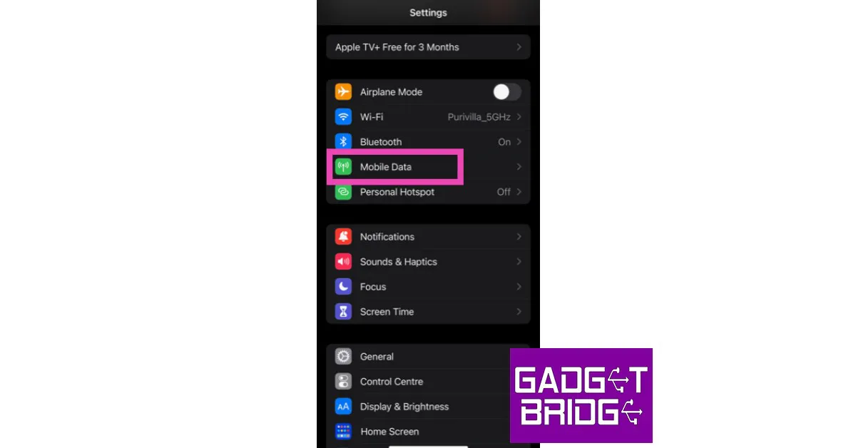Step 1: Go to Settings and select Mobile Data.