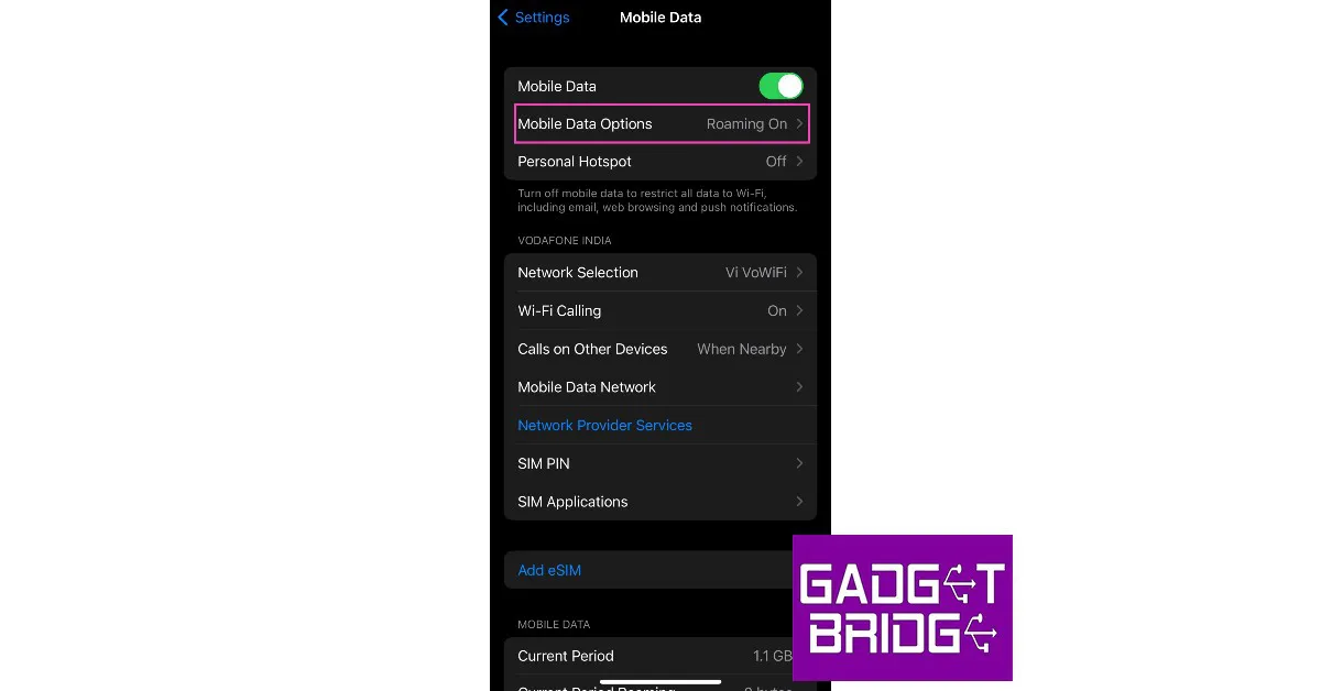 Step 2: Select Mobile Data options. 