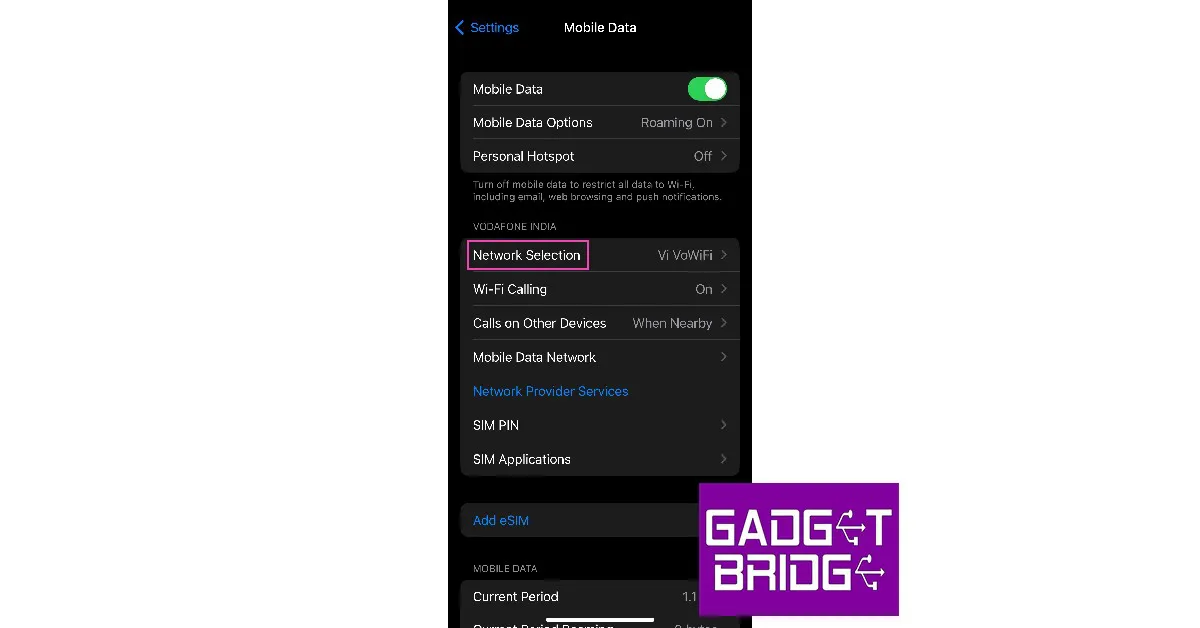 Step 2: Select ‘Network Selection’. what does sos only mean on iPhone and how to turn it off