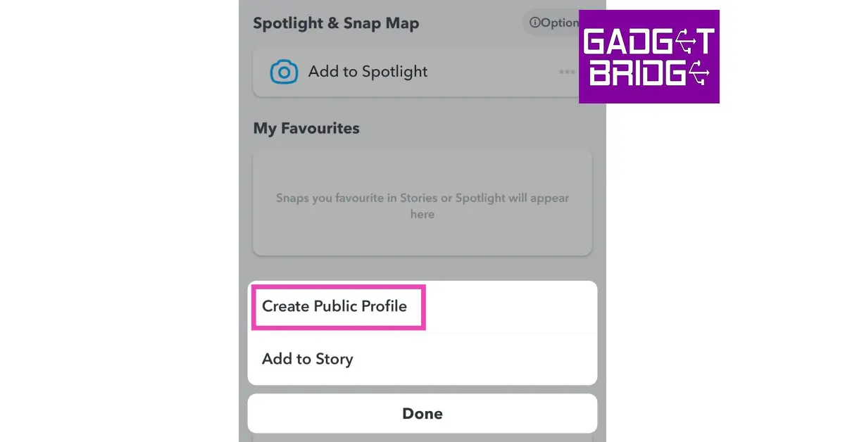 Step 2: Tap the ellipses (three dots) next to ‘Add to Spotlight’ and select ‘Create Public Profile’.