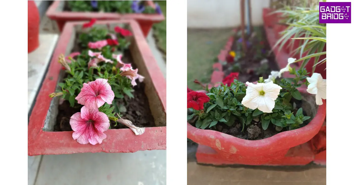 Redmi Note 12 Pro review: Performance and Cameras