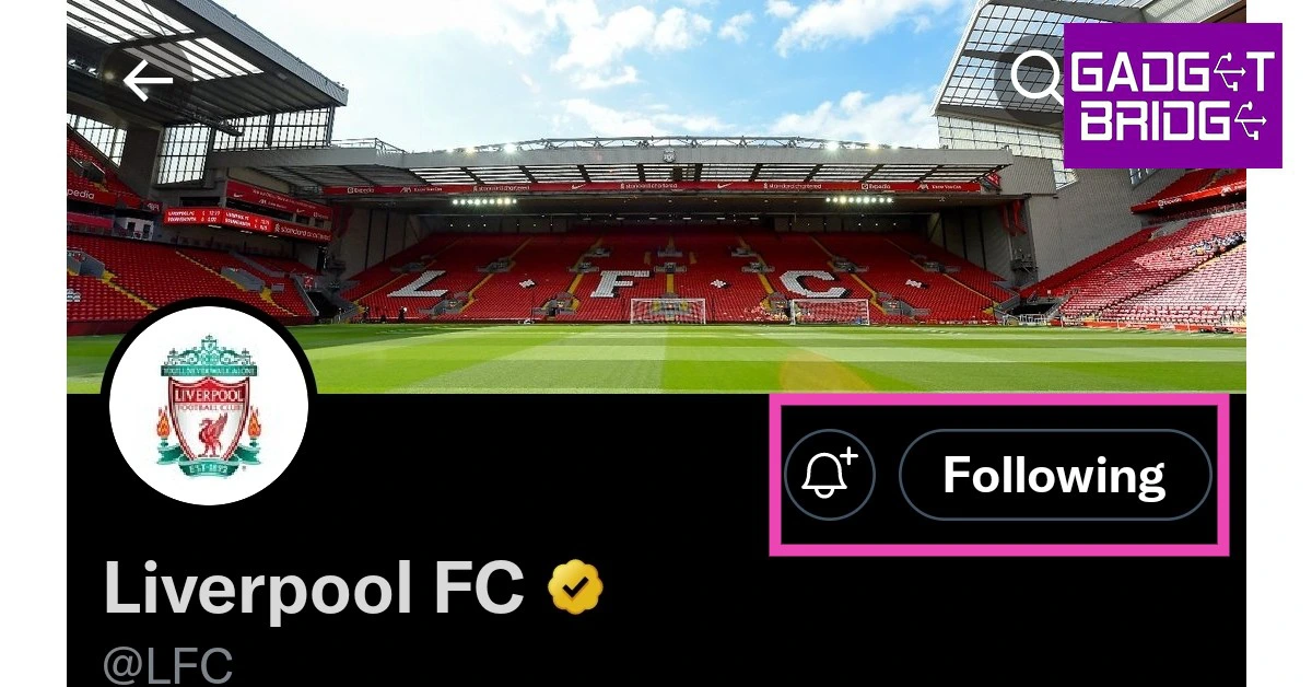 Follow and Bell+ icons. twitter icons and symbols meaning