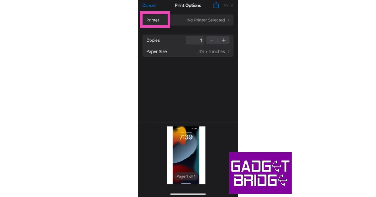 Step 5: In the ‘Print Options’ window, tap on ‘Printer’.