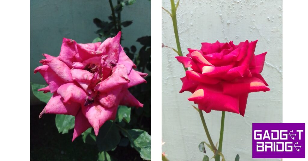 Nokia C12 review: What does this affordable smartphone from Nokia have ...