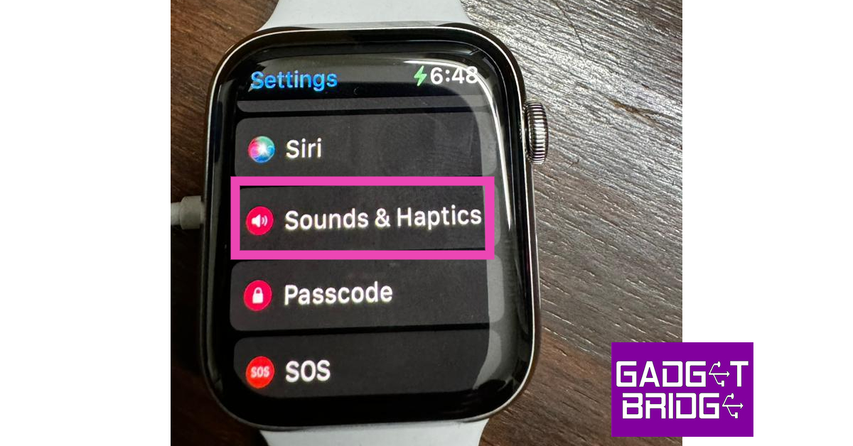 Step 2: Tap on Sounds & Haptics.
