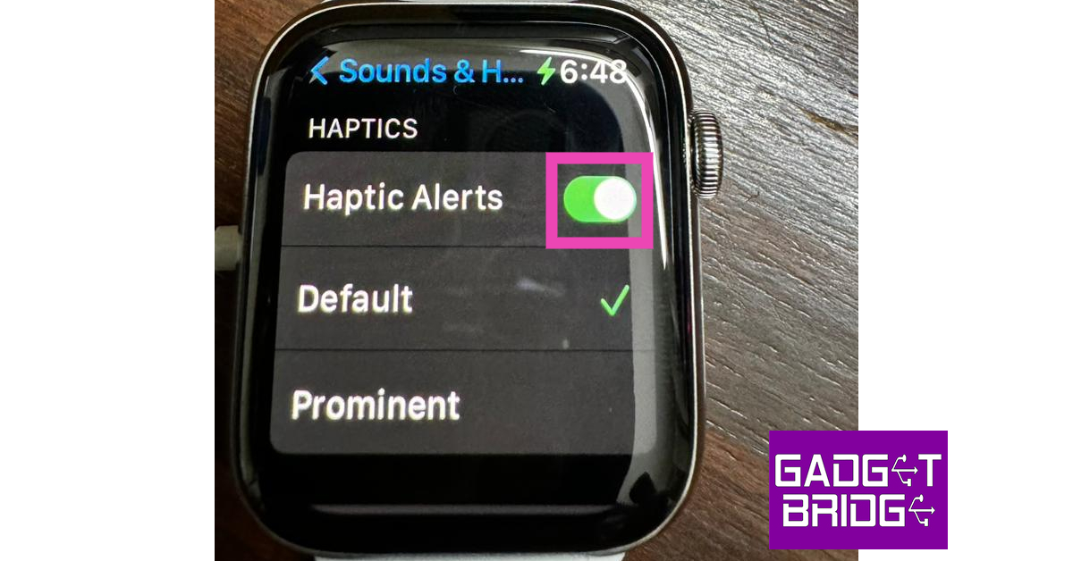 Step 3: Turn on the toggle switch for Hapic Alerts.