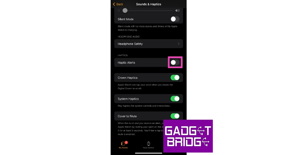 Step 3: Turn on the toggle switch for Haptic Alerts.