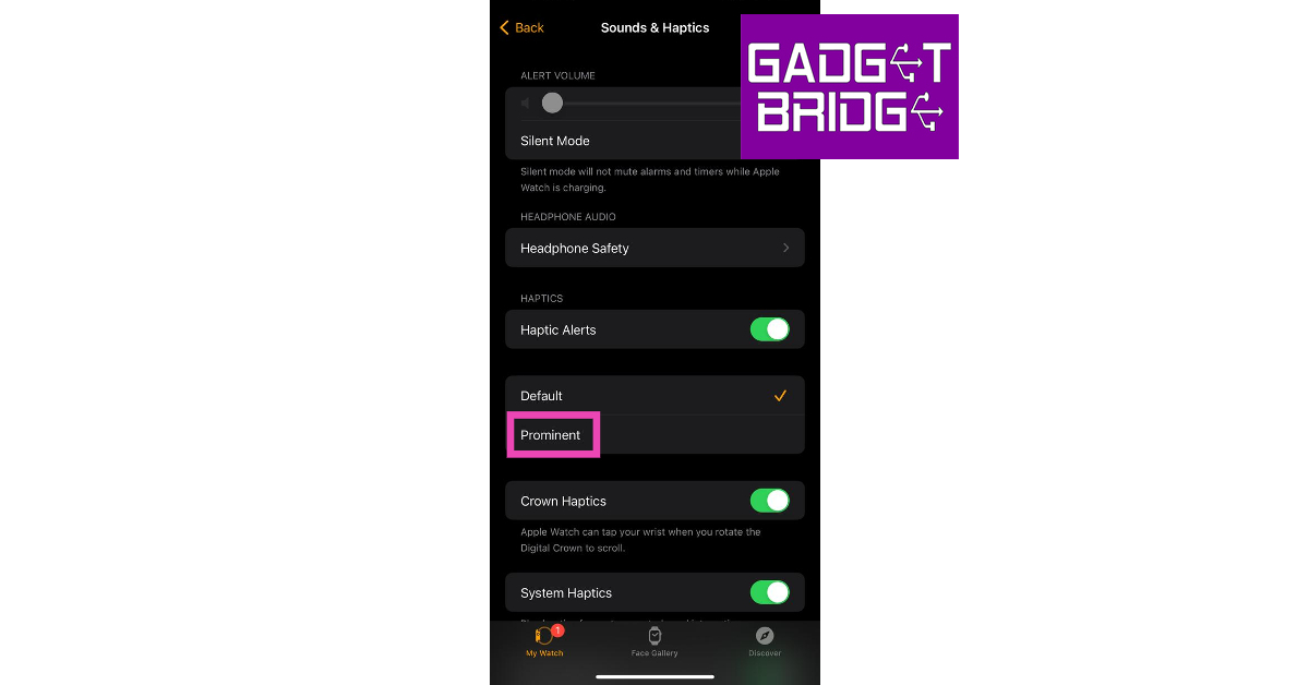 Step 3: Select Prominent under the Haptics section. Top 4 Ways to Make Your Apple Watch Vibrate for Notifications