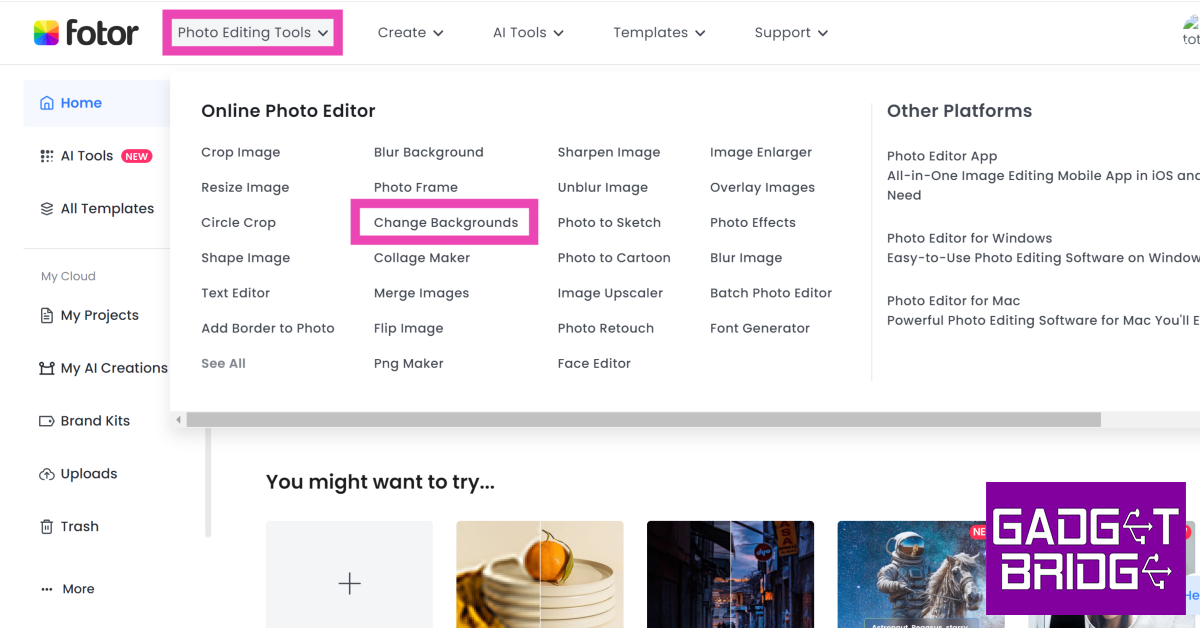 Step 2: Hover the cursor over Photo Editing Tools and select Change Background.