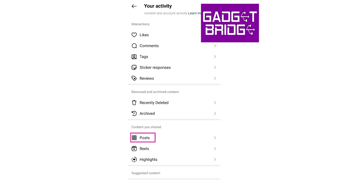 Step 4: Select Posts.