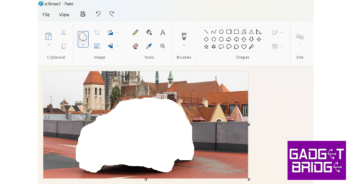 Step 7: Press Ctrl + X to cut the subject from the background.