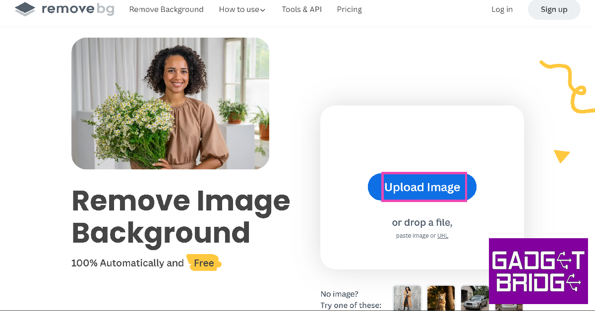 Step 2: Click on Upload Image and select an image from your PC. 5 Easy Free Ways to Make an Image Background Transparent on a Windows PC