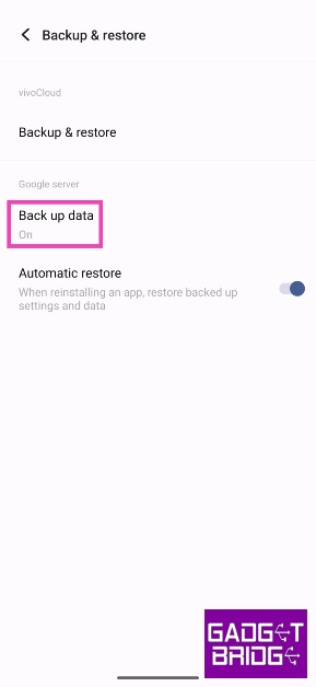 Step 3: Tap on Back up data under the Google server section. top 3 ways to automatically upload and backup photos to Google Photos on Android.