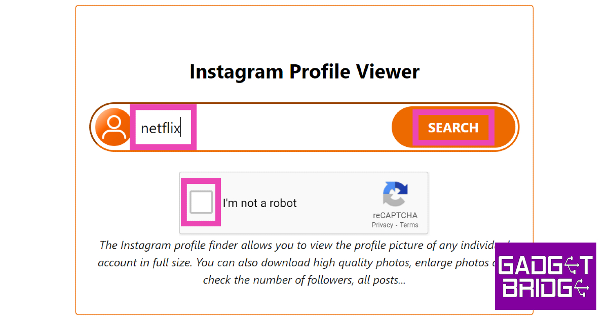 Step 2: Enter the Instagram username of the profile you want to view in the Instagram Profile Viewer box.