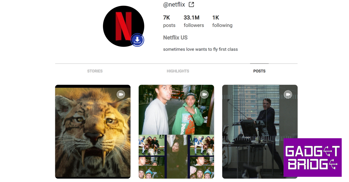 Step 4: Browse through the Reels posted by the account and hit the Download button under the ones you want to save on your device. Top 4 Ways to Watch Instagram Reels on Windows PC Without Logging in