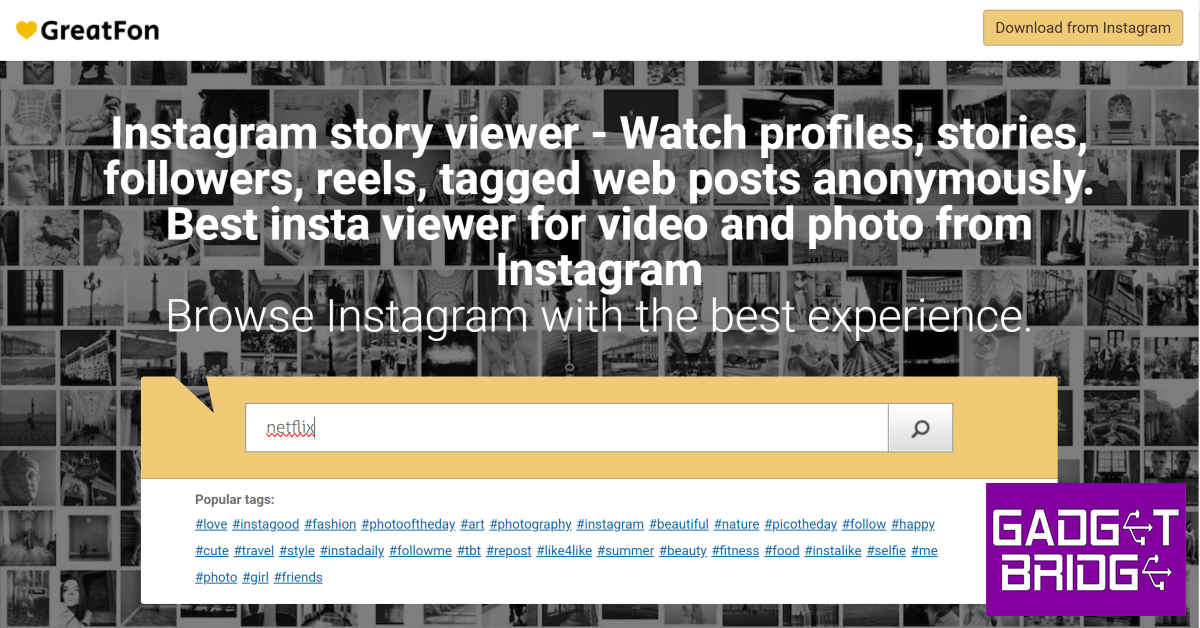 Step 2: Enter the Instagram username, location, or hashtag you want to browse in the search box. Top 4 Ways to Watch Instagram Reels on Windows PC Without Logging in