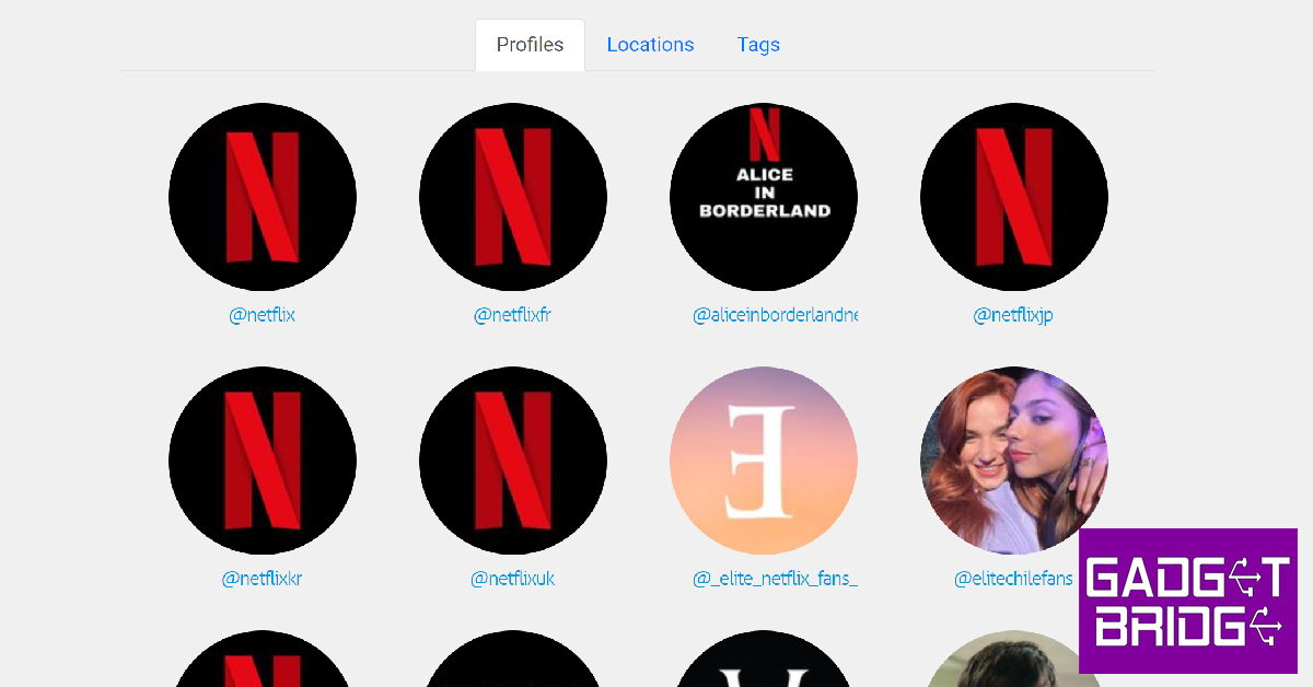 Step 4: Select the profile from the results. Top 4 Ways to Watch Instagram Reels on Windows PC Without Logging in