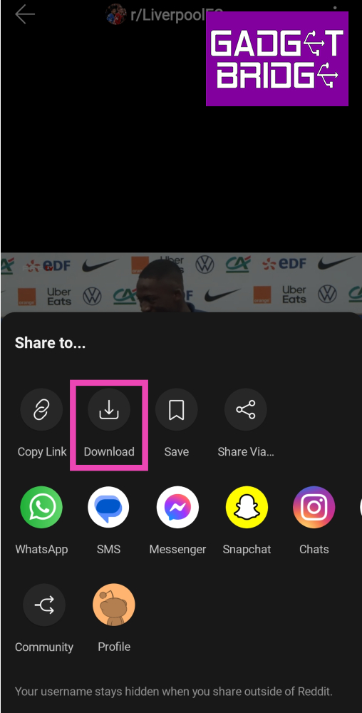 Step 4: Tap on Download.