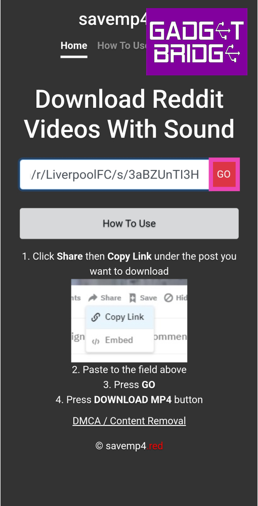 Step 7: Paste the link in the website’s address box and hit Go. Top 5 Ways to Download Reddit Videos on Your Phone with Sound
