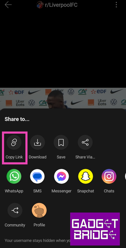 Step 4: Tap on Copy Link. Top 5 Ways to Download Reddit Videos on Your Phone with Sound