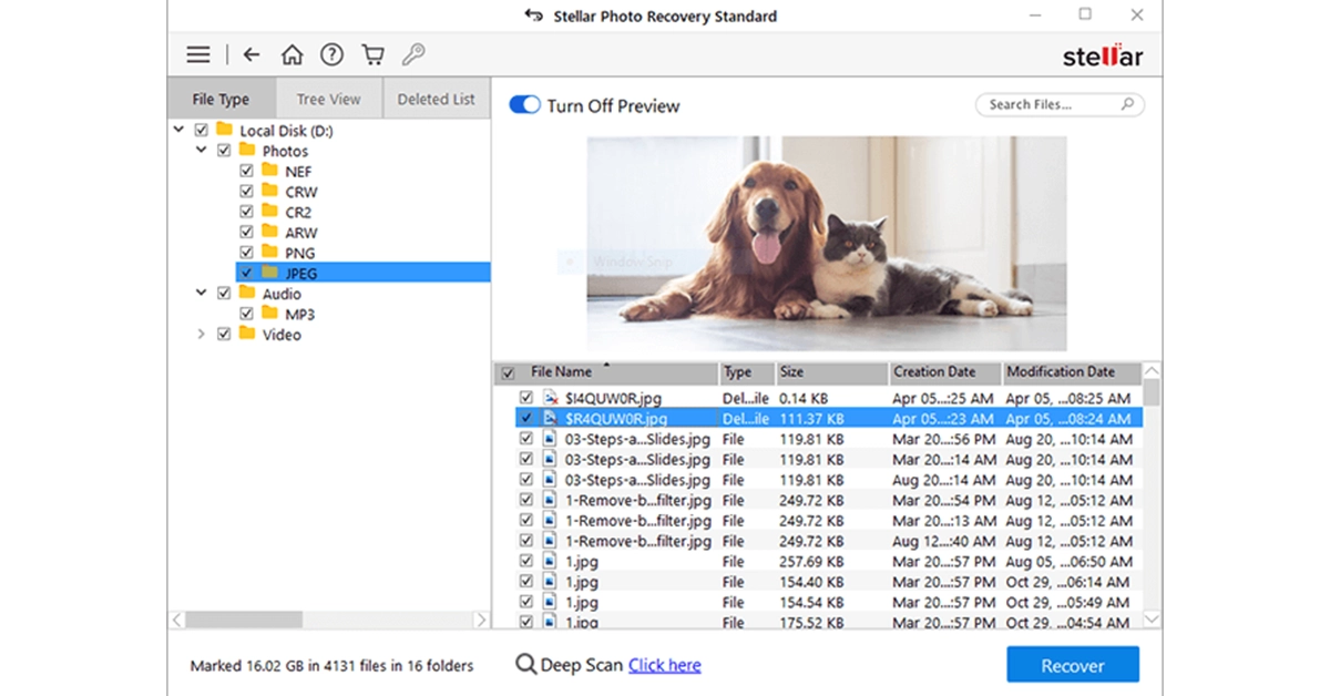 Preview and Recovery