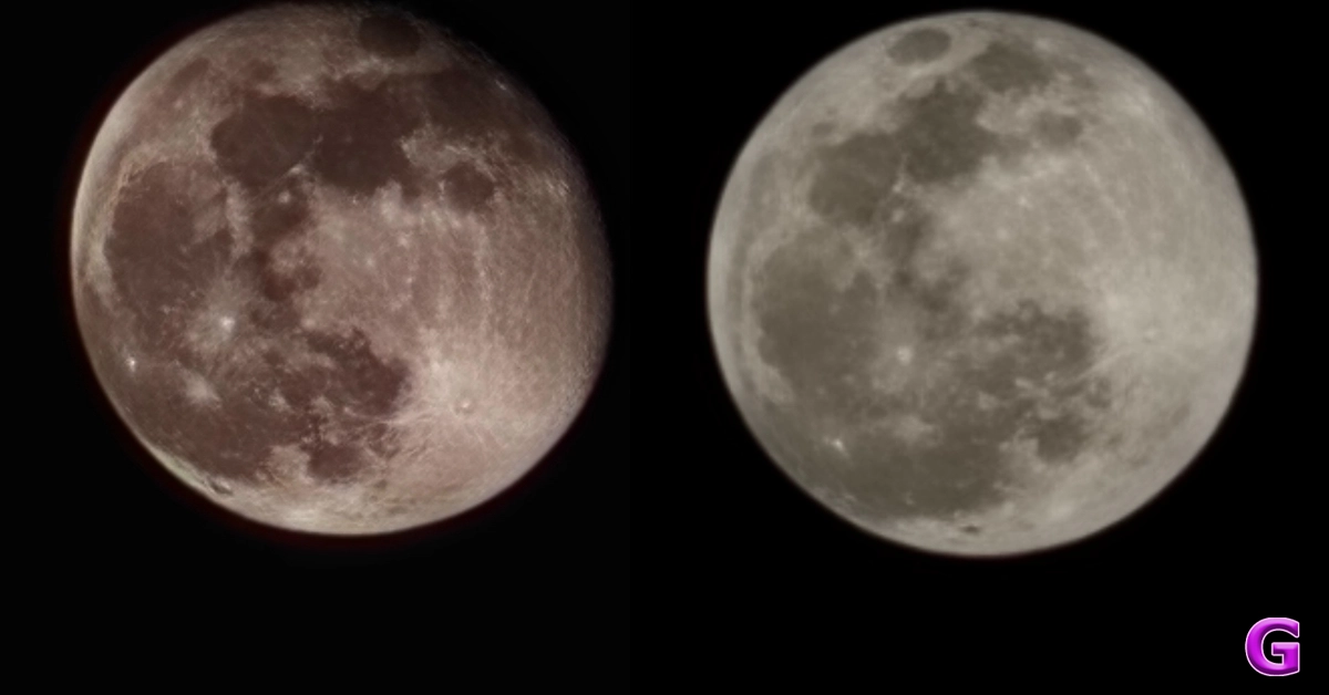 OnePlus Open cameras