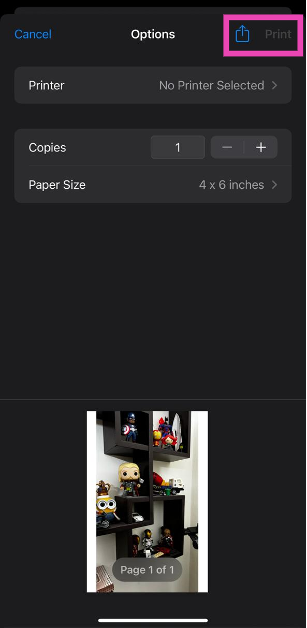 Step 4: Hit Print at the top right corner of the screen.