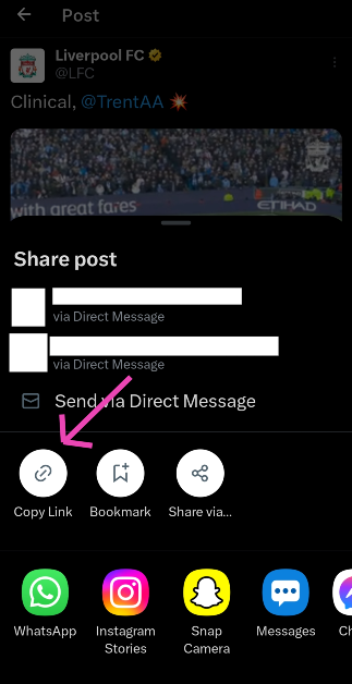 Step 4: Select Copy Link.