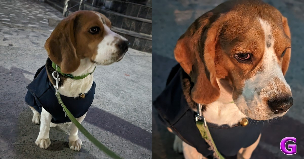 review of Google Pixel 8 