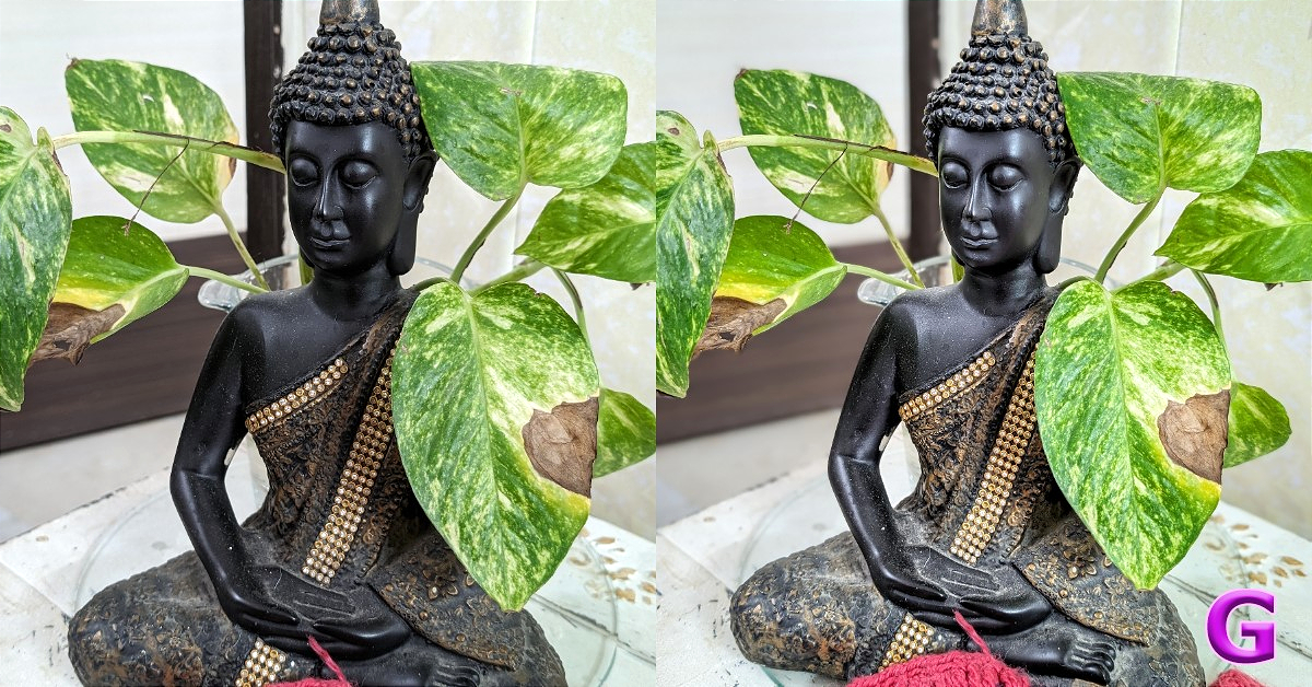 review of Google Pixel 8 