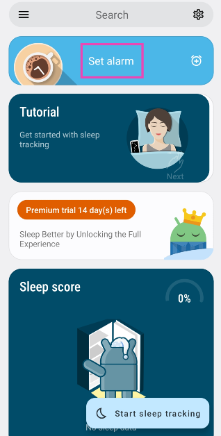 Step 3: Tap on Set alarm.