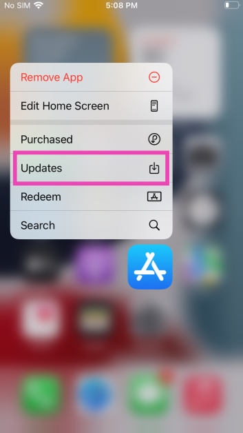 Step 2: Select Updates from the popup menu.