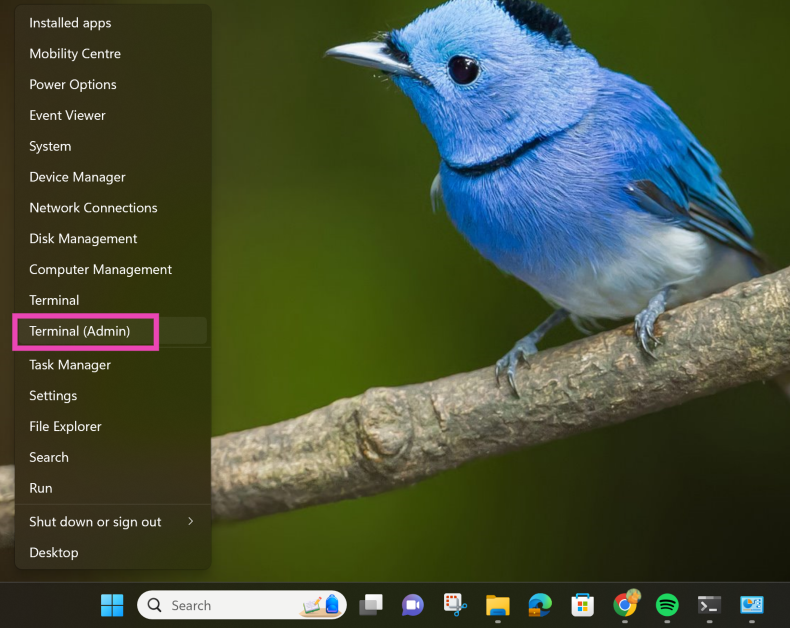 Step 2: Select Terminal (admin).