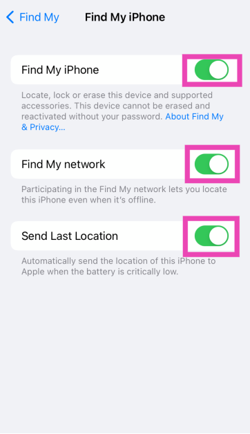 Step 4: Turn on the toggle switch for Find My iPhone, Find My Network, and Send Last Location.