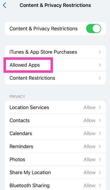 Step 3: Tap on Allowed Apps.