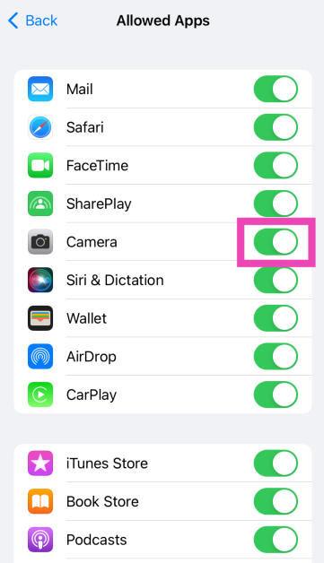 Step 4: Make sure the toggle switch for Camera is turned on.