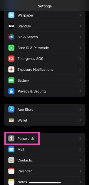 Step 1: Go to Settings and select Passwords.