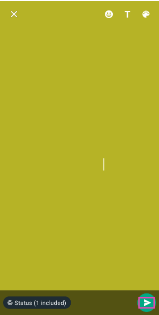 Step 5: Tap the Send icon at the bottom right corner of the screen to post a blank status.